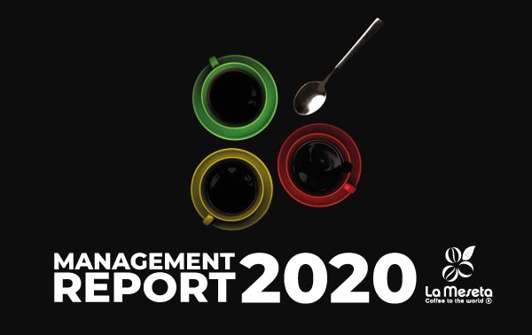 Management Report 2020